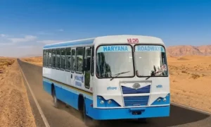 Indian Haryana Roadways Game
